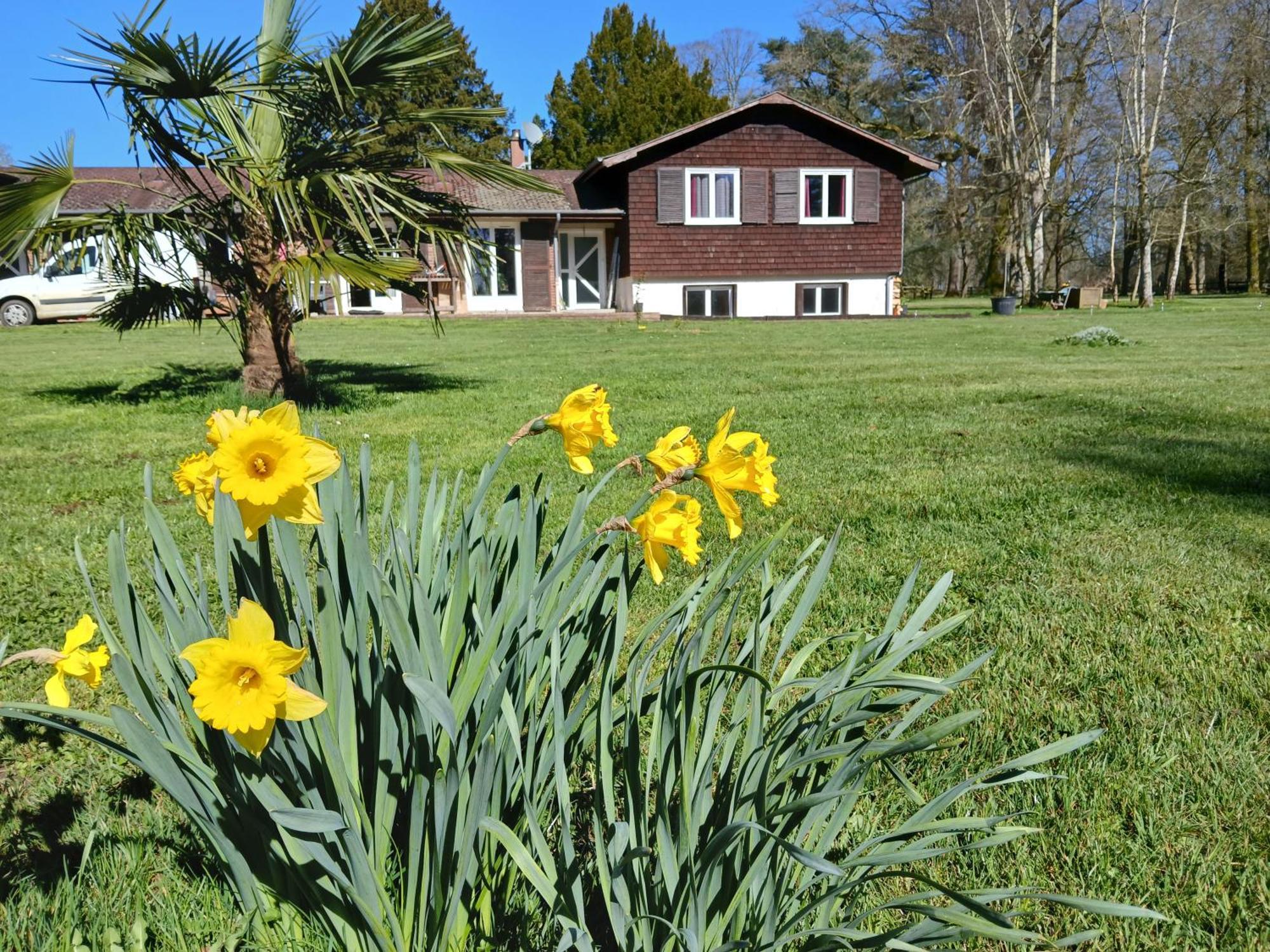 Domaine Des Ifs Bed & Breakfast Le Pin  Exterior photo