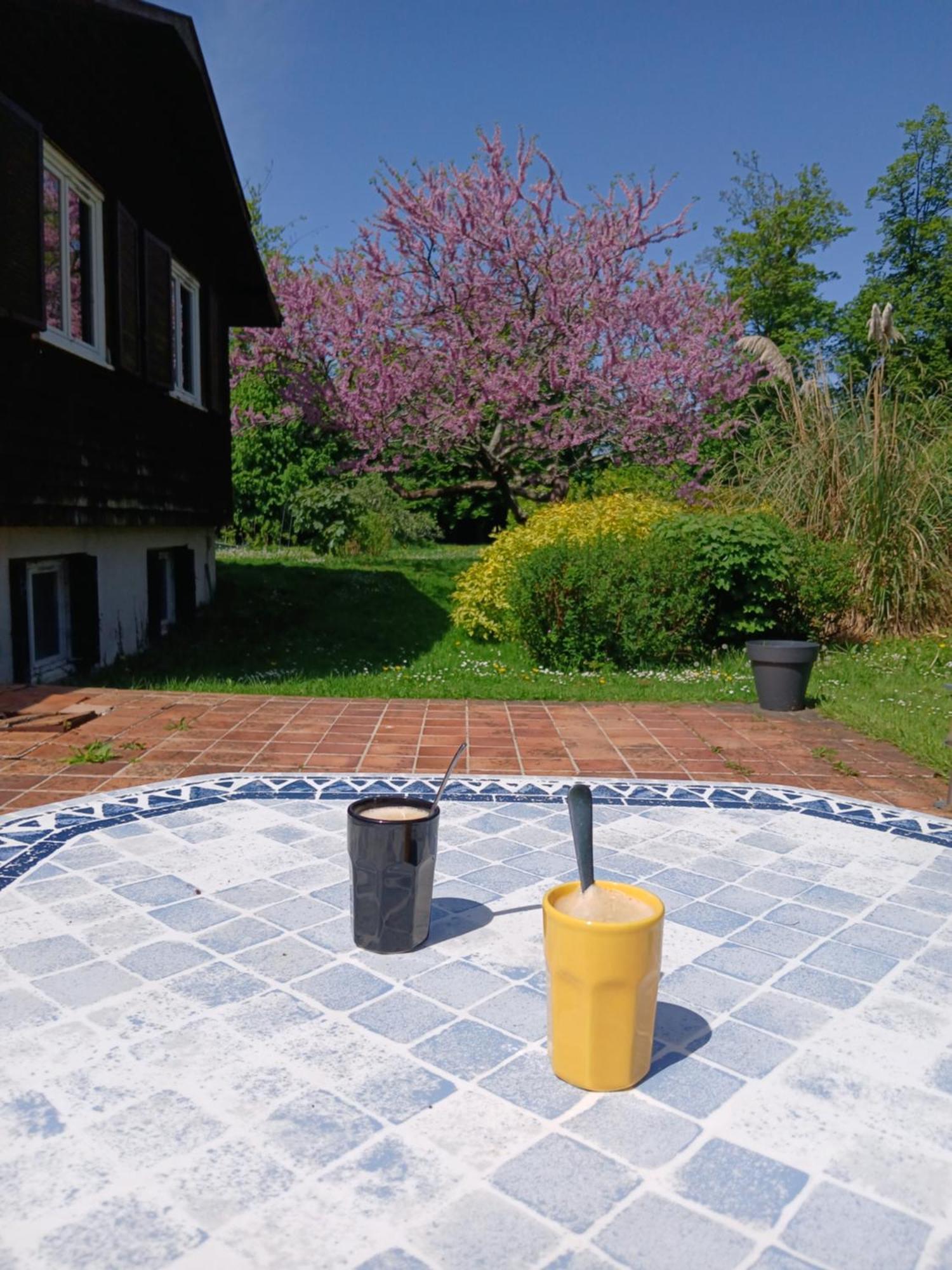 Domaine Des Ifs Bed & Breakfast Le Pin  Exterior photo